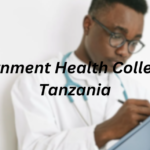 Government Health Colleges in Tanzania