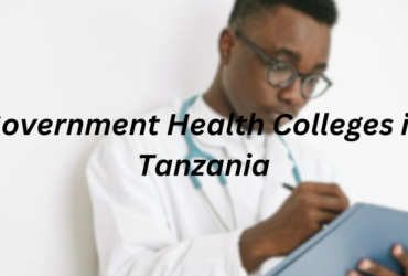 Government Health Colleges in Tanzania