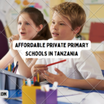 Affordable Private Primary Schools in Tanzania