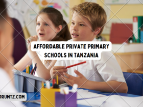 Affordable Private Primary Schools in Tanzania