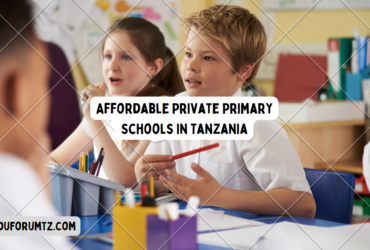 Affordable Private Primary Schools in Tanzania