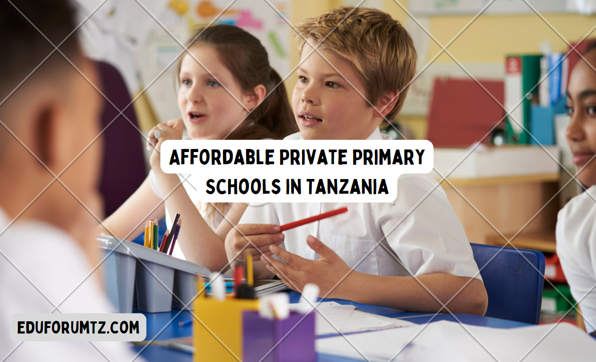 Affordable Private Primary Schools in Tanzania