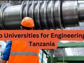 Top Universities for Engineering in Tanzania