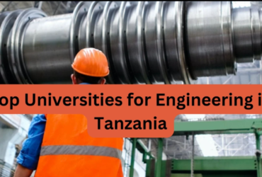 Top Universities for Engineering in Tanzania