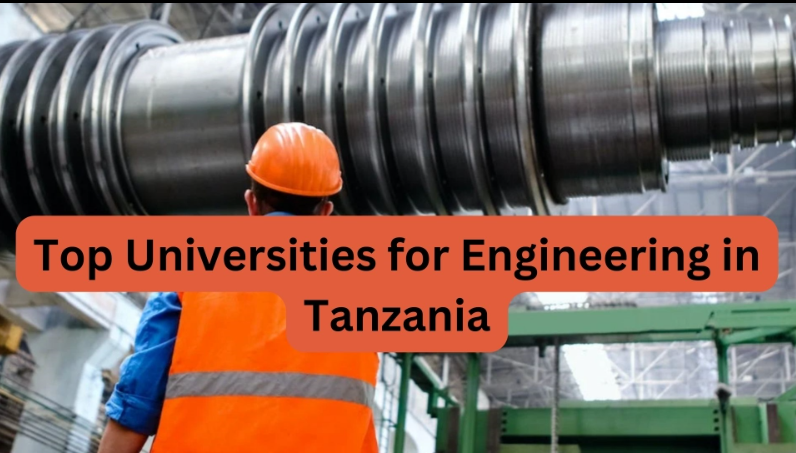 Top Universities for Engineering in Tanzania
