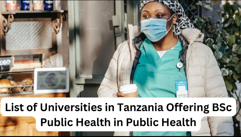 List of Universities in Tanzania Offering BSc Public Health in Public Health
