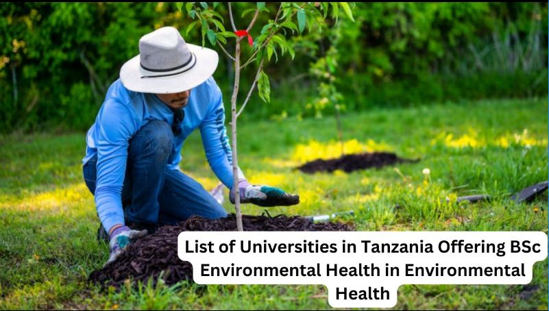 List of Universities in Tanzania Offering BSc Environmental Health in Environmental Health