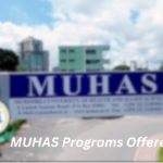 MUHAS Programs Offered