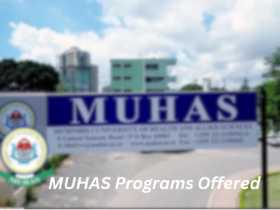 MUHAS Programs Offered