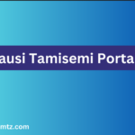 Tausi Tamisemi portal