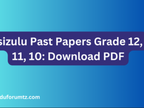 Isizulu Past Papers Grade 12, 11, 10: Download PDF