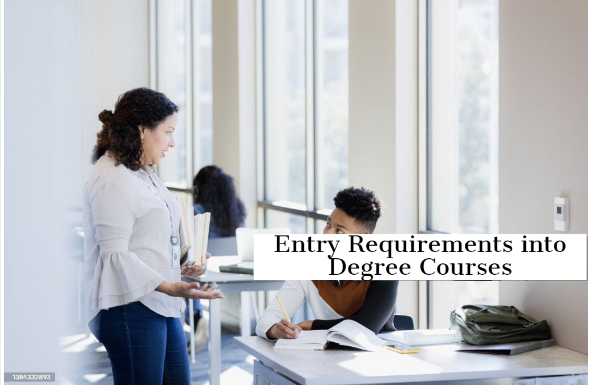 Entry Requirements into Degree Courses
