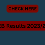 UNEB Results 2023/2024