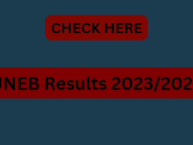 UNEB Results 2023/2024