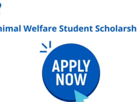 Animal Welfare Student Scholarships