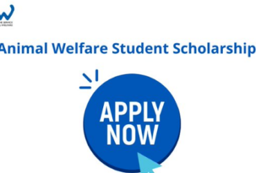 Animal Welfare Student Scholarships