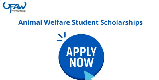 Animal Welfare Student Scholarships