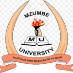 Mzumbe University