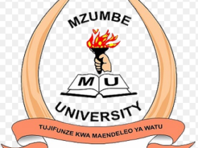 Mzumbe University