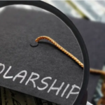 Scholarship Opportunities for Open University of Tanzania 2024-2025