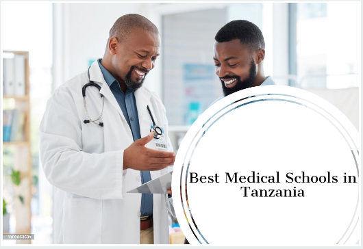 Best Medical Schools in Tanzania