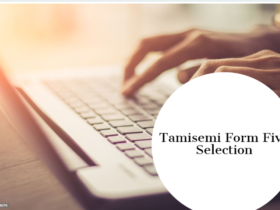 Tamisemi Form Five(V) Selection