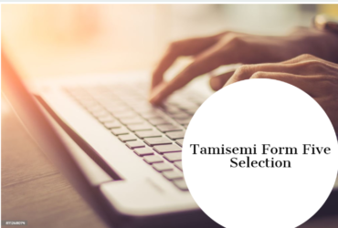 Tamisemi Form Five(V) Selection