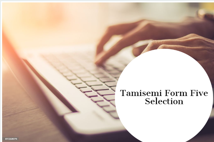 Tamisemi Form Five(V) Selection