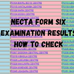 NECTA Form Six Examination Results