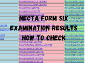 NECTA Form Six Examination Results