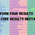 FORM FOUR RESULTS