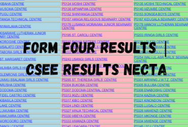 FORM FOUR RESULTS