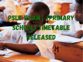 PSLE Exam| (PRIMARY SCHOOL) Timetable Released