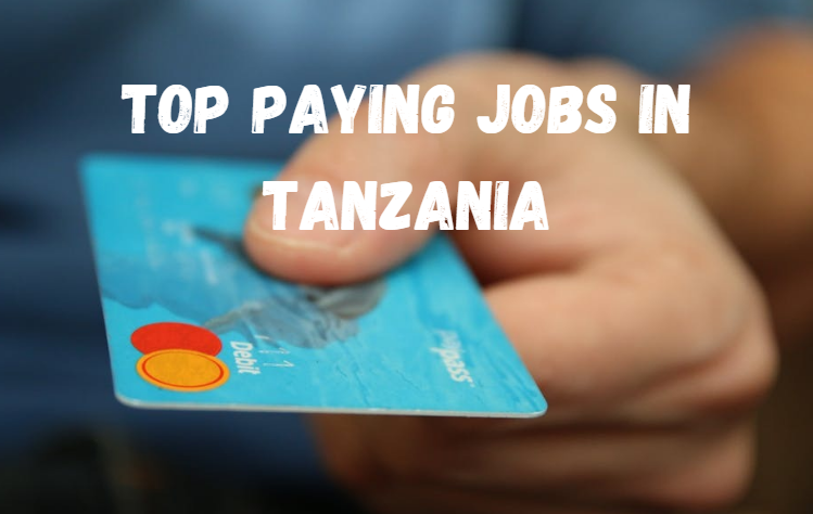Top Paying Jobs in Tanzania