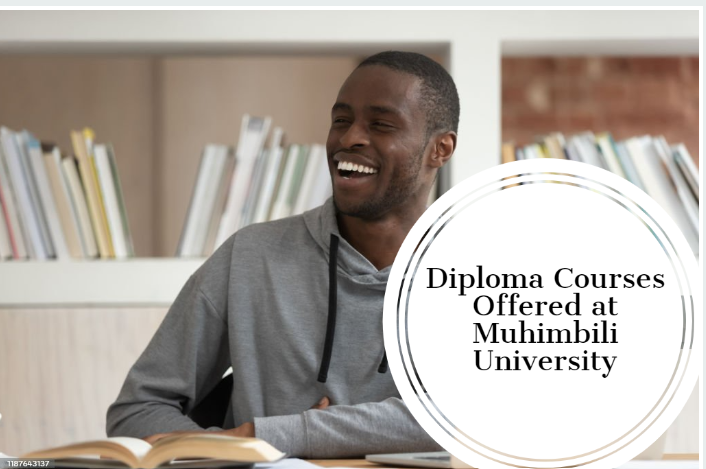 Diploma Courses Offered at Muhimbili University
