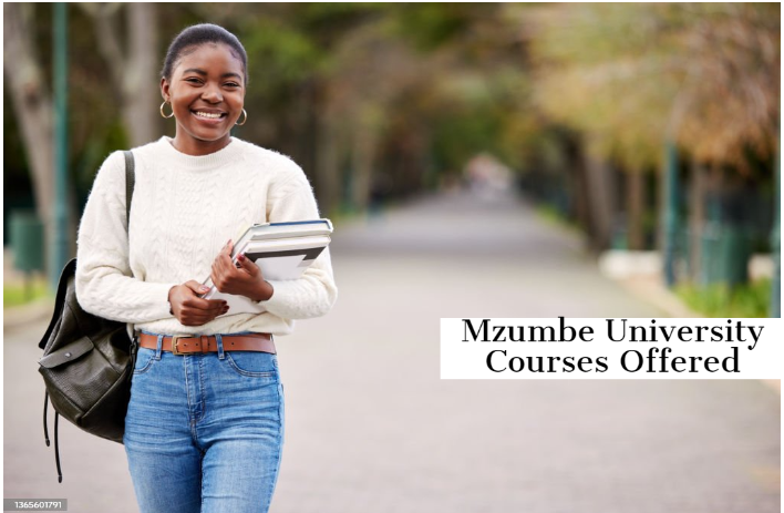 Mzumbe University Courses Offered