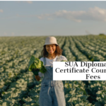 SUA Diploma and Certificate Courses and Fees