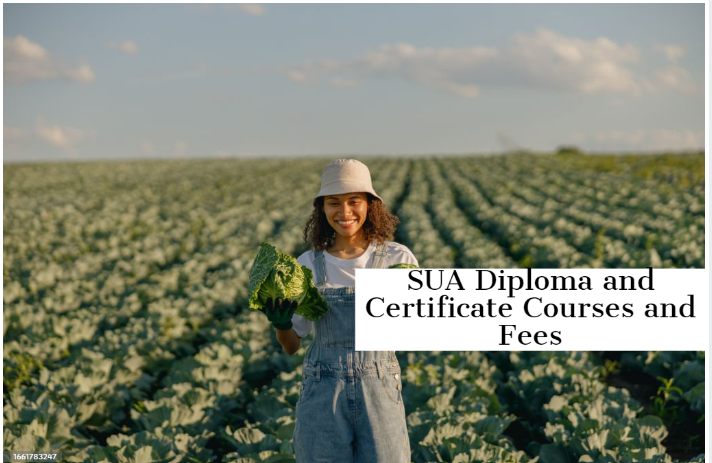 SUA Diploma and Certificate Courses and Fees