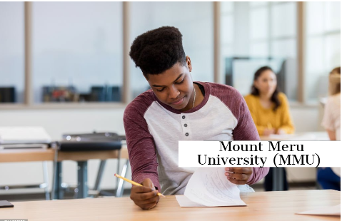 Mount Meru University Online