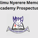 Mwalimu Nyerere Memorial Academy Prospectus