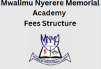 Mwalimu Nyerere Memorial Academy Fees Structure