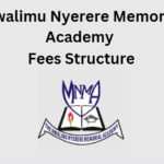 Mwalimu Nyerere Memorial Academy Fees Structure