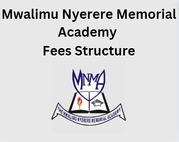 Mwalimu Nyerere Memorial Academy Fees Structure