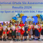 Top Achievers Scores at NGSA