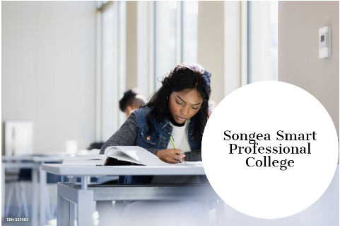 Songea Smart Professional College, Details and Application