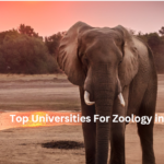 Top Universities For Zoology in Tanzania