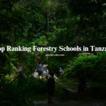 Top Ranking Forestry Schools in Tanzania