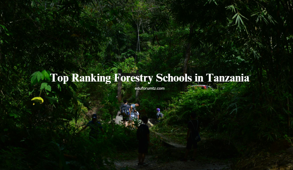 Top Ranking Forestry Schools in Tanzania