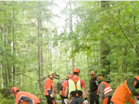 Forestry Training Institute Olmotonyi