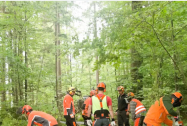 Forestry Training Institute Olmotonyi